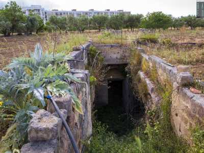 ...e raggiungere l�atrio di accesso coperto da folta vegetazione